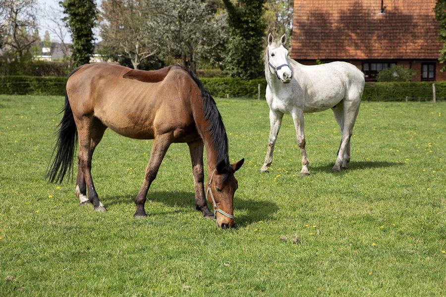 aanmelden en financiering_boerderijcampus_4