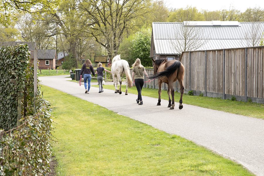 mijn cliënt of leerling heeft zorg nodig_boerderijcampus_5