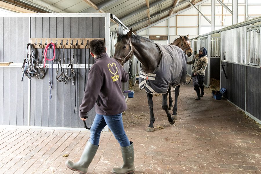 mijn cliënt of leerling heeft zorg nodig_boerderijcampus_2